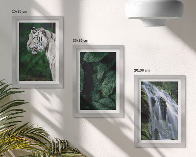 3-piece wall art set White tiger leaves and waterfall in natural surroundings