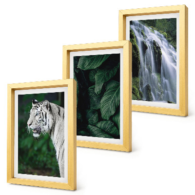 3-piece wall art set White tiger leaves and waterfall in natural surroundings