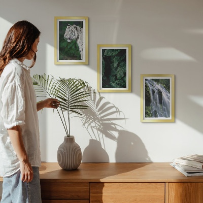 3-piece wall art set White tiger leaves and waterfall in natural surroundings