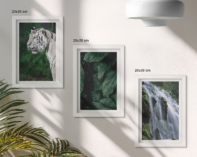 3-piece wall art set White tiger leaves and waterfall in natural surroundings