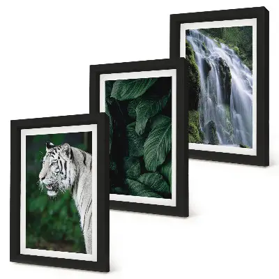 3-Piece wall art set white tiger lurking among leaves and a waterfall in nature