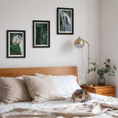 3-piece wall art set White tiger leaves and waterfall in natural surroundings