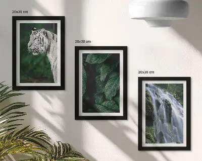 3-Piece wall art set white tiger lurking among leaves and a waterfall in nature
