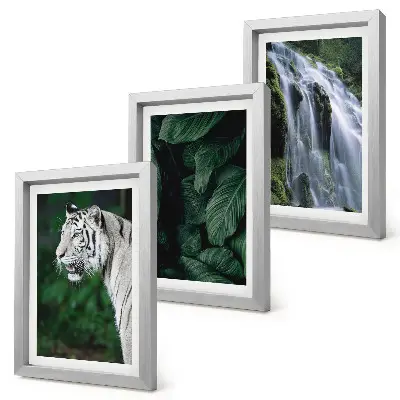 3-Piece wall art set white tiger lurking among leaves and a waterfall in nature