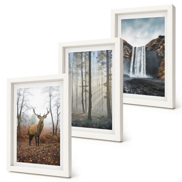 Photo frame wall Forest landscapes wild nature deer