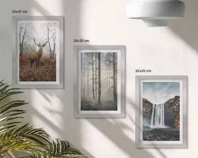 Photo frame wall gallery set wild nature forest landscape with deer
