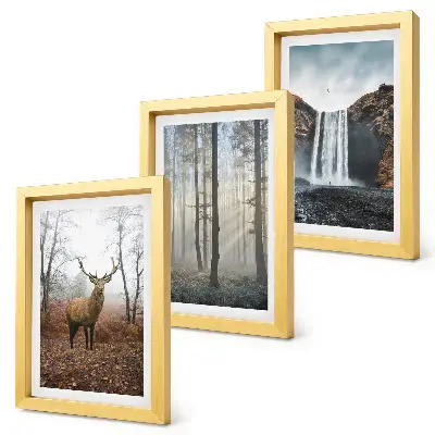 Photo frame wall gallery set wild nature forest landscape with deer
