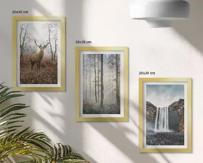 Photo frame wall gallery set wild nature forest landscape with deer