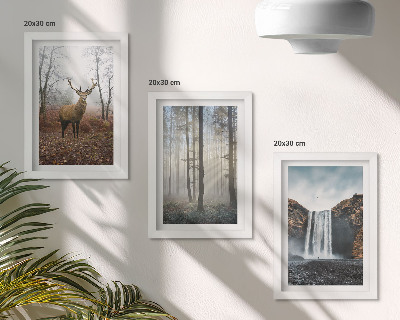Photo frame wall Forest landscapes wild nature deer