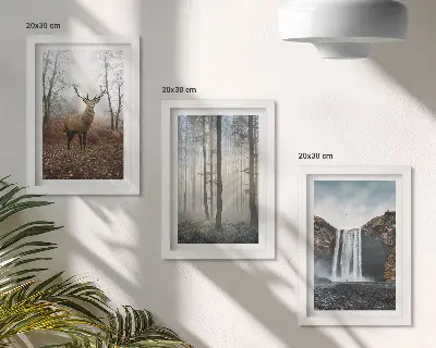 Photo frame wall gallery set wild nature forest landscape with deer