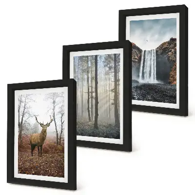 Photo frame wall gallery set wild nature forest landscape with deer