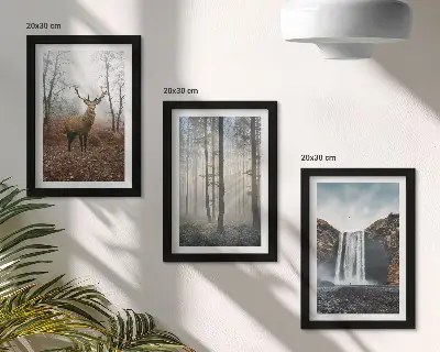 Photo frame wall gallery set wild nature forest landscape with deer