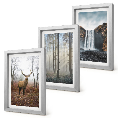 Photo frame wall Forest landscapes wild nature deer
