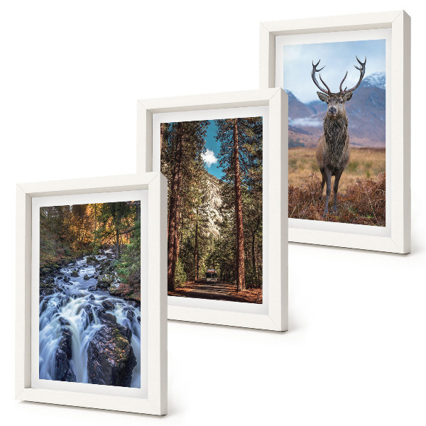Framed triptych Waterfall in the forest, mountains and deer in nature