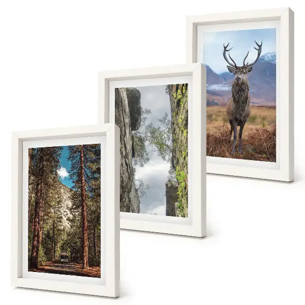 3-piece wall art set featuring a road in the forest with mountains and deer in nature