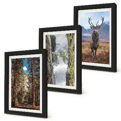 3-piece wall art set Road in the forest, mountains and deer in nature