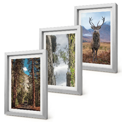 3-piece wall art set Road in the forest, mountains and deer in nature