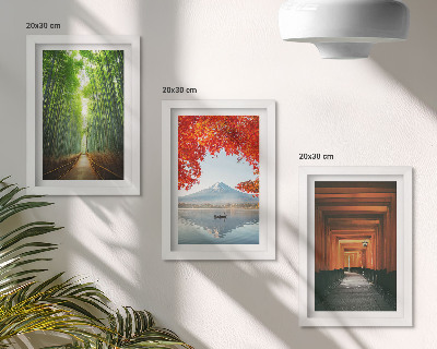 Photo frame wall Bamboo forest Mount Fuji torii path landscapes of Japan