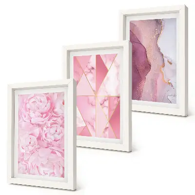 Pink flowers peonies geometric patterns framed triptych