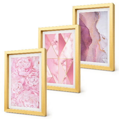Framed triptych Pink flowers peonies geometric patterns