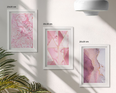 Framed triptych Pink flowers peonies geometric patterns