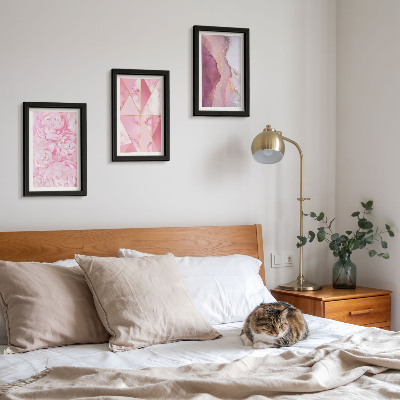 Framed triptych Pink flowers peonies geometric patterns