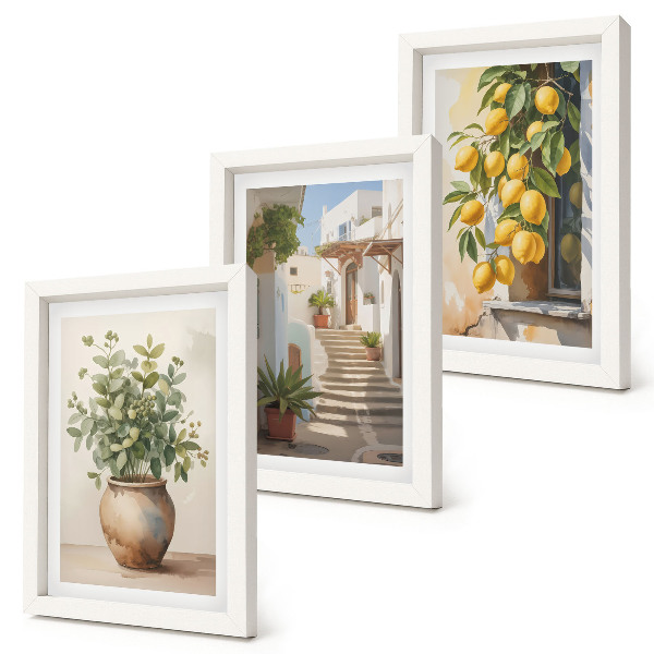 3-piece wall art set Potted plants and lemons against the backdrop of a street