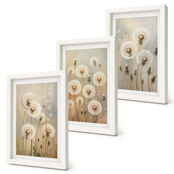 3-piece wall art set White dandelions against a background of bright colors