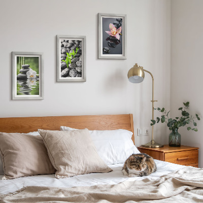 Photo frame wall A peaceful zen composition of stones and flowers on water
