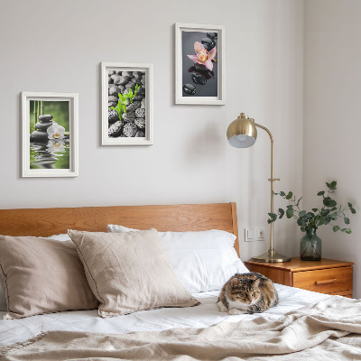 Photo frame wall A peaceful zen composition of stones and flowers on water