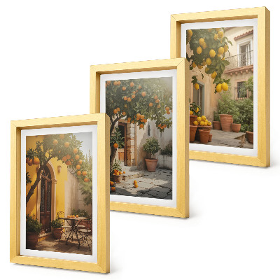 3-piece wall art set Sunny patio with citrus trees and pots