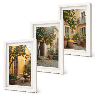 Photo frame wall A garden with citrus trees in a sunny setting