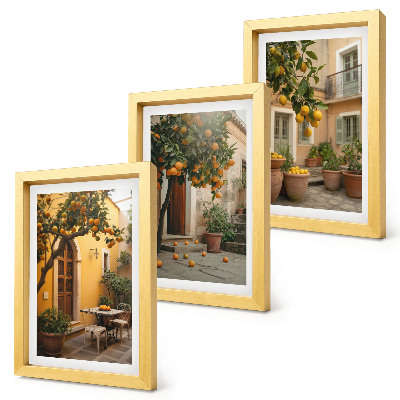 Photo frame wall A garden with citrus trees in a sunny setting