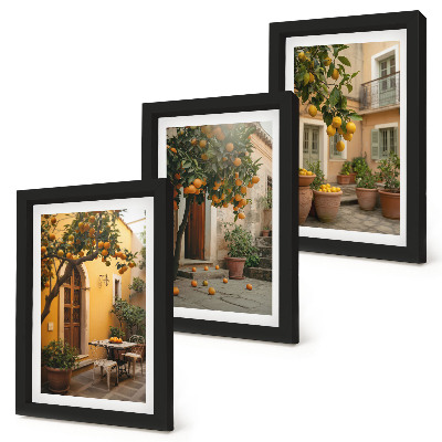 Photo frame wall A garden with citrus trees in a sunny setting