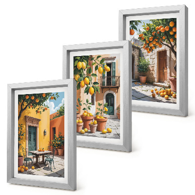Framed triptych Citrus fruits in a sunny garden setting
