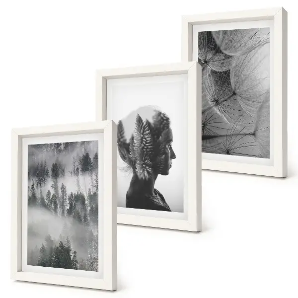 3-piece wall art set forest in the fog featuring delicate dandelion and trees