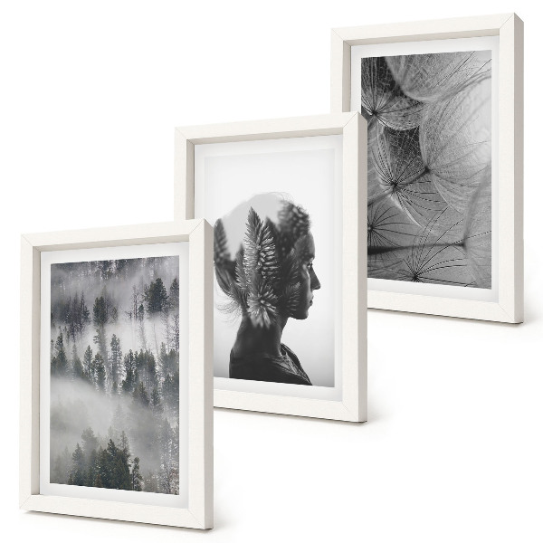 3-piece wall art set Forest in the fog portrait with trees delicate dandelion