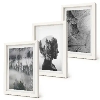 3-piece wall art set forest in the fog featuring delicate dandelion and trees