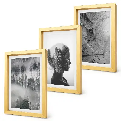 3-piece wall art set forest in the fog featuring delicate dandelion and trees