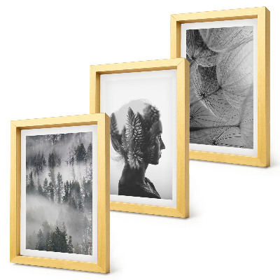 3-piece wall art set Forest in the fog portrait with trees delicate dandelion