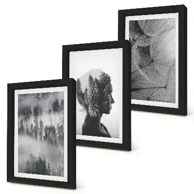3-piece wall art set forest in the fog featuring delicate dandelion and trees
