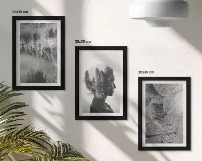 3-piece wall art set forest in the fog featuring delicate dandelion and trees
