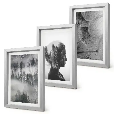 3-piece wall art set forest in the fog featuring delicate dandelion and trees