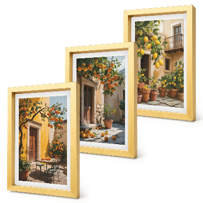 Photo frame wall Citrus fruits in a sunny courtyard with plants