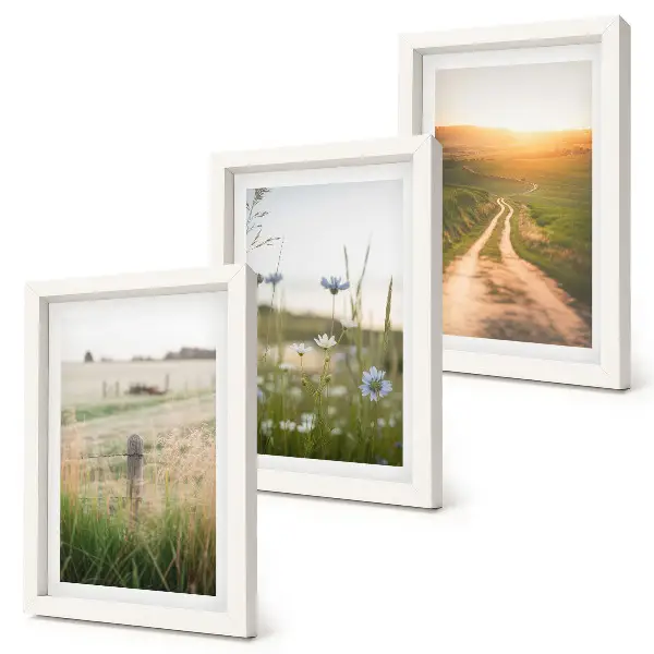 Nature landscapes triptych with fields and a sunlit path