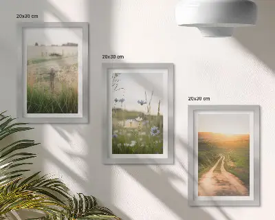 Nature landscapes triptych with fields and a sunlit path