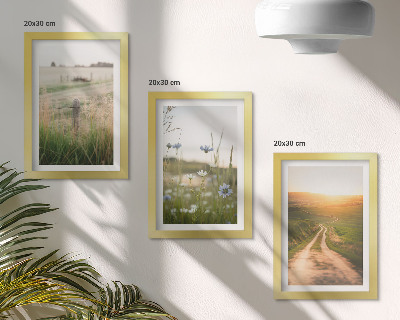 Framed triptych Nature landscapes with fields and a path in the sun