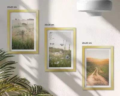 Nature landscapes triptych with fields and a sunlit path