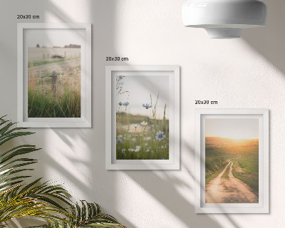 Framed triptych Nature landscapes with fields and a path in the sun