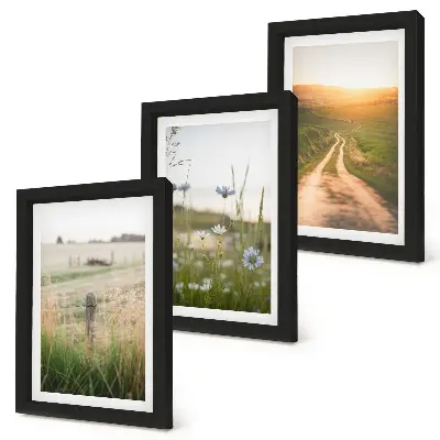 Nature landscapes triptych with fields and a sunlit path